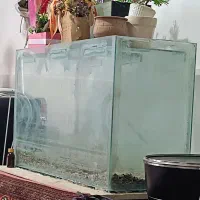 آکواریوم دست ساز شیشه ۱۰میل