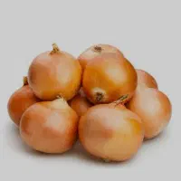 پیاز زرد شماره تماس