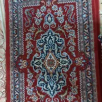 پادری زرشکی|پادری|فردیس, |دیوار