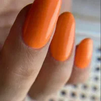 آموزش حرفه ای رشته های  زیبایی|خدمات آموزشی|رشت, خمیران زاهدان|دیوار