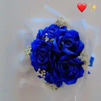 گل ربانی هدیه روز مرد