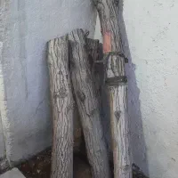 چوب گردو هیزم