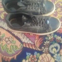 کفش|کیف، کفش، کمربند|زابل, |دیوار