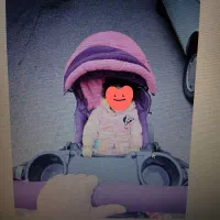 کالسکه دلیجان