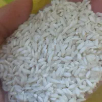 برنج عنبربو خوزستان اصلی