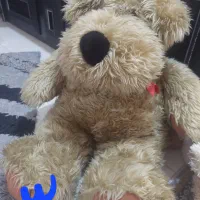 عروسک خرس|اسباببازی|محمدشهر, محمدشهر|دیوار