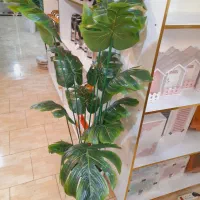 درختچه برگ انجیری بزرگ خارجی اک|گل مصنوعی|قم, شهرک فاطمیه|دیوار