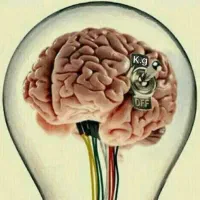 درآمدزایی مختص بانوان