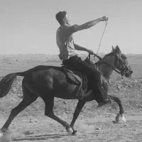 اسب|اسب و تجهیزات اسب‌سواری|درگز, |دیوار