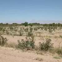 زمین و آب کشاورزی|فروش دفتر صنعتی، کشاورزی، تجاری|مهریز, |دیوار