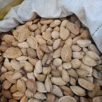 فروش مستقیم گردو بادام مغز تویسرکان|خوردنی و آشامیدنی|اسلام‌شهر, شهرک قائمیه|دیوار