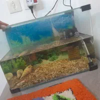 اکواریوم با وسایلش