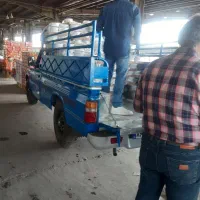 باربری نیسان باری|خدمات حمل و نقل|برازجان, |دیوار