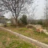 زمین-430متری-مسکونی-سند-دار