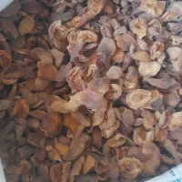 لوبیا چیتی  بادام ...|خوردنی و آشامیدنی|قم, خاکفرج|دیوار