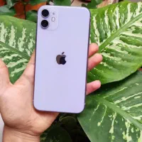 آیفون11 و شیائومی