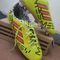 دو جفت کفش ، سالن ، چمن|کیف، کفش، کمربند|شیراز, کوشک میدان|دیوار