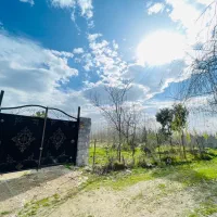 ۲۹۵متر زمین کلا مسکونی