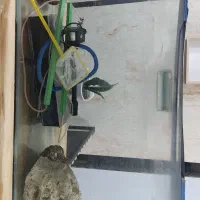 آکواریوم