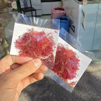 زعفران پارسالی و امسالی ارسال از بیرجند