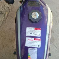 باک موتور سکلیت رنگ بنفش وقاب بغل