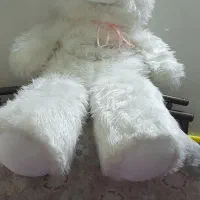 شاسخین تمیز و سالم