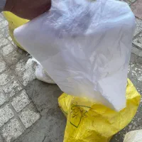 پلاستیک بزرگ و سایز کوچیک|ظروف نگهدارنده، پلاستیکی، یکبارمصرف|نیشابور, دارایی|دیوار