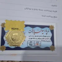 سکه پارسیان