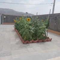 مهمانپذیر سوئیت باغ ویلا