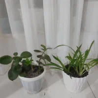 وسایل منزل|حراج|تبریز, |دیوار