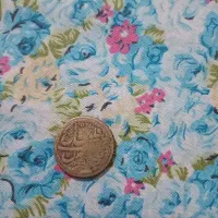 سکه زمان قاجار|کلکسیون سکه، تمبر، اسکناس|شهرکرد, |دیوار