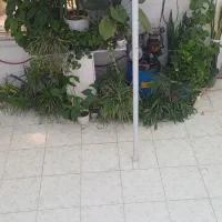 پرورش گل وگیاه آپارتمانی وحیاطی