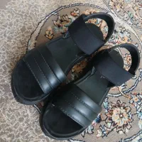 صندل طبی
