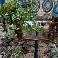 گل پیچک سوئدی و گل اشرفی|گل و گیاه طبیعی|شاهین‌شهر, شهرک سایت|دیوار