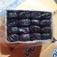 خرما درجه یک|عمده‌فروشی|بم, |دیوار