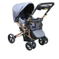 کالسکه دلیجان بنیتا فروش فوری