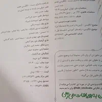 ماجرای بیست انگلیسی