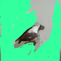 الا بوغاز نر اغزی بالالی