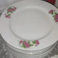 ظروف گلسرخ گل سرخ گلسرخی گل سرخی