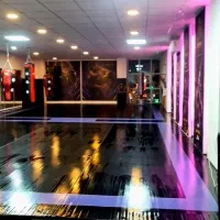 همکاری با مربی تکواندو، ووشو و رقص