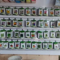 فروش بذر گل و صیفی جات