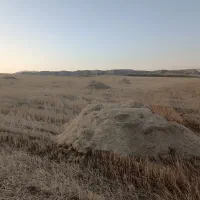 فروش کاه گندم دیم. شهرستان هلیلان