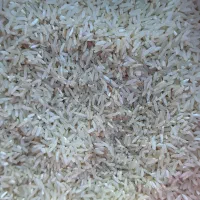 برنج طارم روشن الک کارخونه