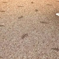 فروش موکت درجه یک