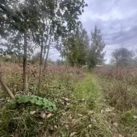 5/800متر زمین مسکونی سند دارکوچصفهان/سنگر/لولمان|فروش زمین و ملک کلنگی|کوچصفهان, |دیوار