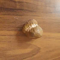 باسلام|کلکسیون اشیاء عتیقه|یاسوج, |دیوار