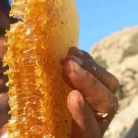 عسل دنا یاسوج  کوهی اصل درمانی