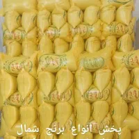 برنج ایرانی درجه  1|خوردنی و آشامیدنی|قم, قلعه کامکار|دیوار