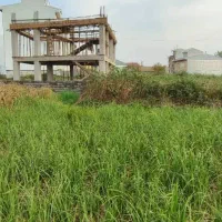 فروش زمین ۱۰۶ متری در زعفرانیه|فروش زمین و ملک کلنگی|رشت, کوی غلام نیا|دیوار