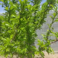 منبع گالوانیزه آب 4000یا5000